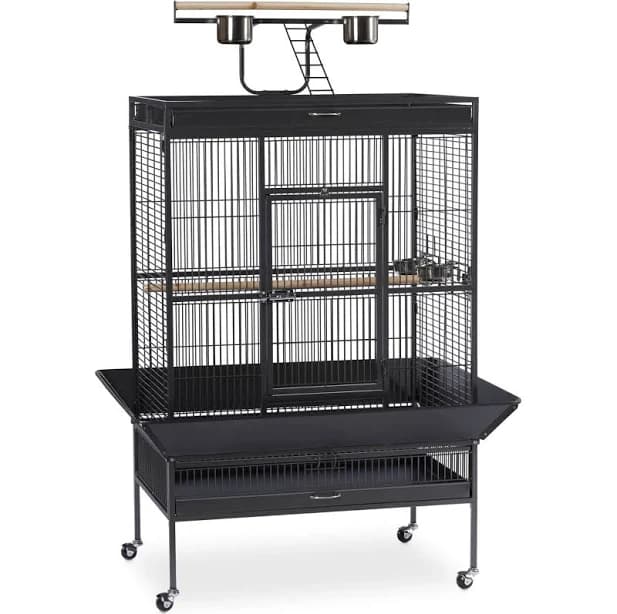 Parrot Cage