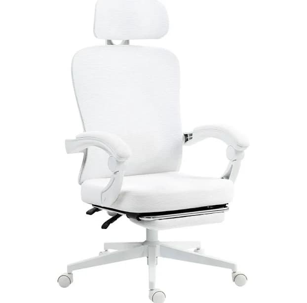 Dowinx Ergonomic Mesh Office Chair