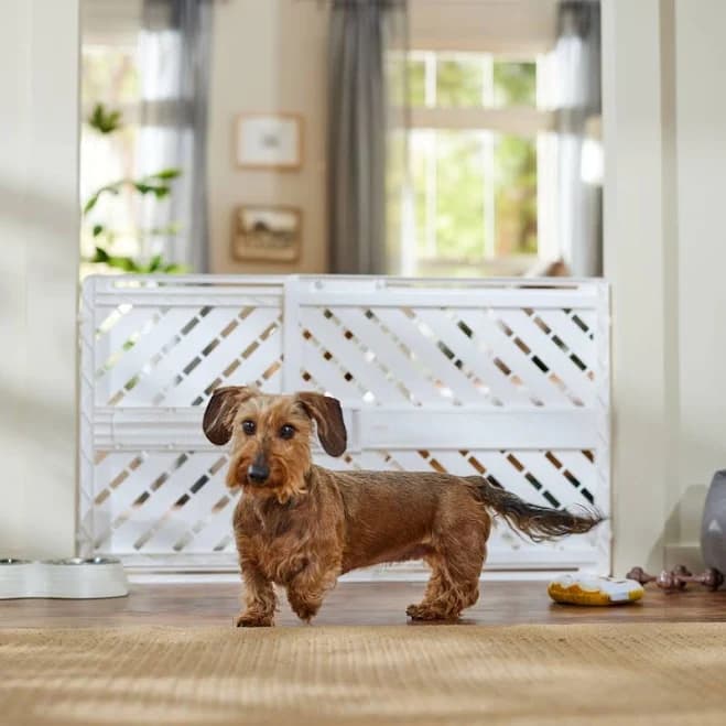 Frisco Tension Mounted Plastic Dog Gate