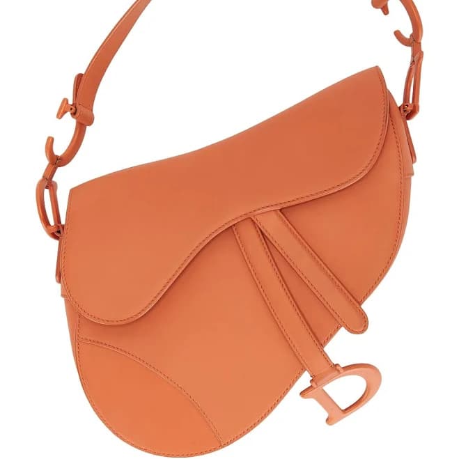 Dior Women's Micro Saddle Bag in Goatskin
