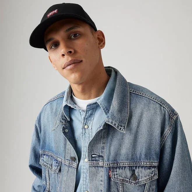 Levi's Men's Housemark Flexfit Cap
