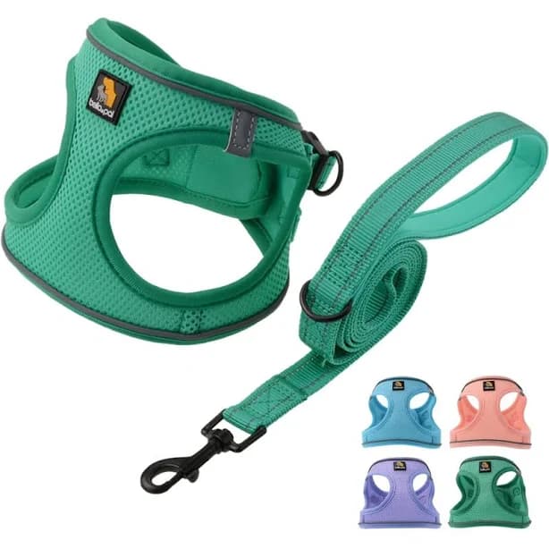 bella & pal Step-in Velcro Dog Harness and Leash Set