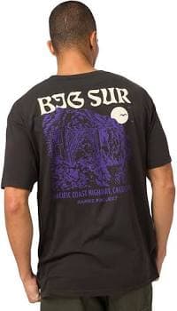 Parks Project Big Sur Bridges Puff Print Pocket Tee