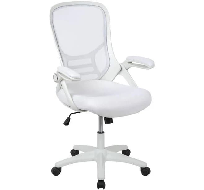 Emma + Oliver High Back Ergonomic Office Chair
