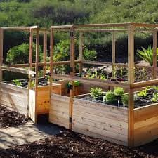 Outdoor Living Today 12x8 Deer Proof Raised Garden Bed