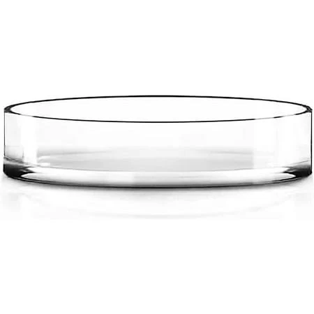 CYS Excel Clear Wide Glass Cylinder Vase