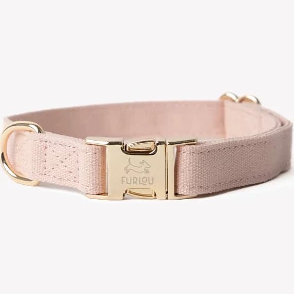 Canvas Dog Collar