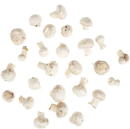 BoxNCase #1 Grade Baby White Button Mushrooms