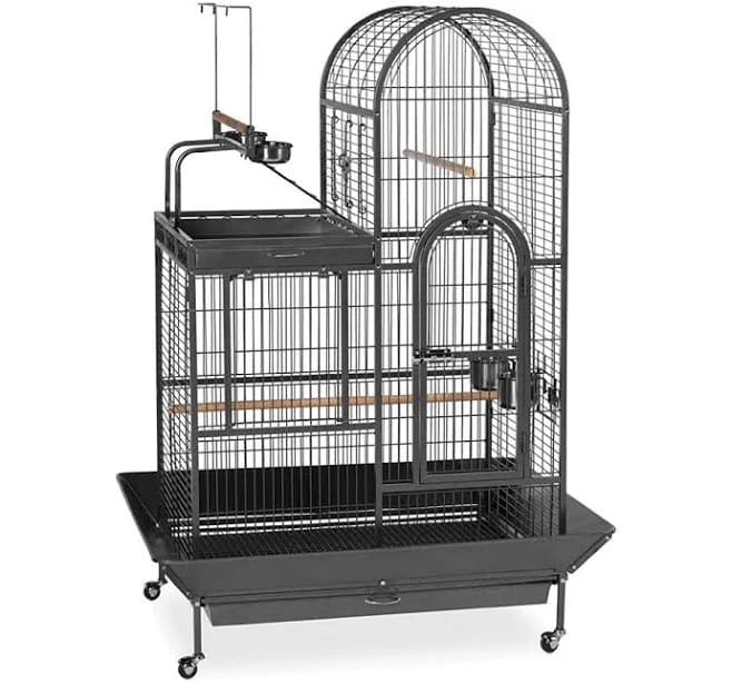 Archie & Oscar Large Steel Top Bird Cage