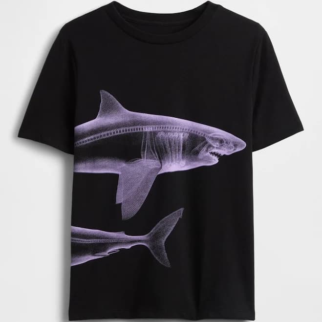 Gap Boys Graphic T-Shirt