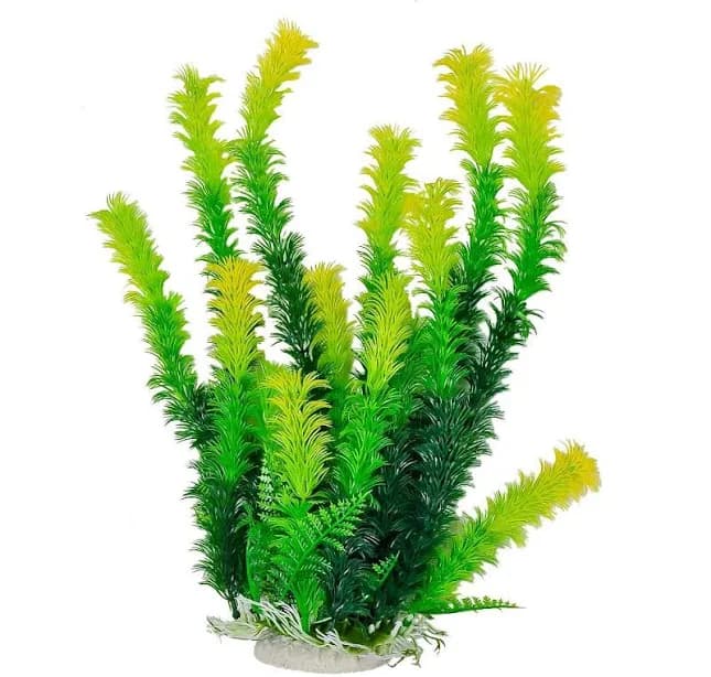Aquatop Aquarium Plant