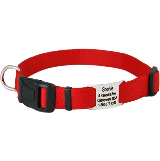 GoTags Adjustable Nameplate Personalized Dog Collar