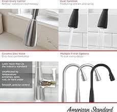 American Standard 7077300.243 Colony Pro Pull-Down Kitchen Faucet with Sprayer Matte Black - Amazon.com