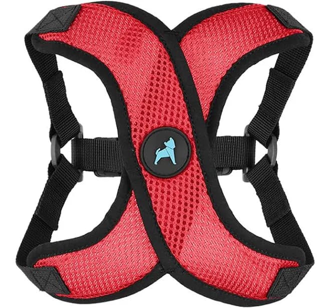 Gooby Comfort X Harness