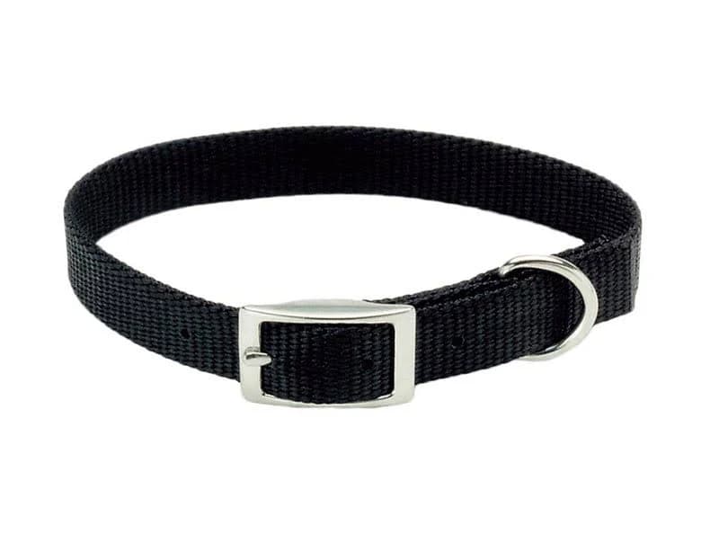 Coastal Pet Single-Ply Dog Collar