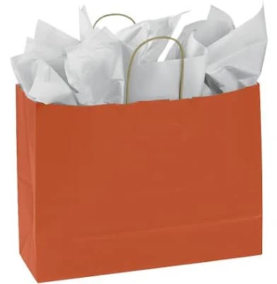 SSWBasics Large Burnt Orange Paper Shopping Bags