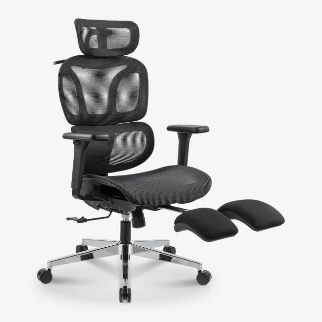 FlexiSpot C4 Ergonomic Office Chair