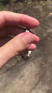 Early Ingot Silver Twist Diné (navajo) Cuff Hand Pulled With Terminals - Etsy