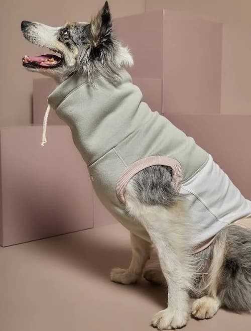 Striped Dog Color-Block Turtleneck Vest