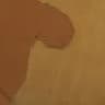 Video frame trigger