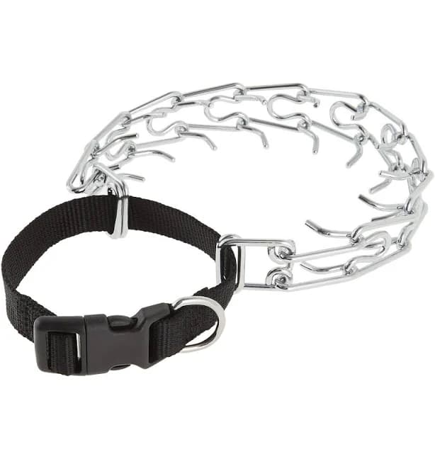 PetSmart Top Paw Buckle Prong Training Dog Collar