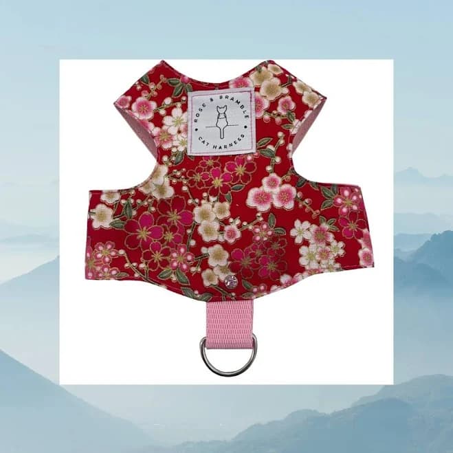 cat harness. escape proof cat harness, kitten harness, Japanese garden — Rose and Bramble