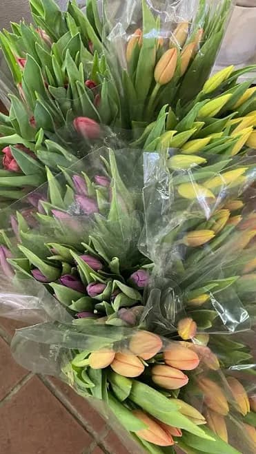 Tulip Bouquets