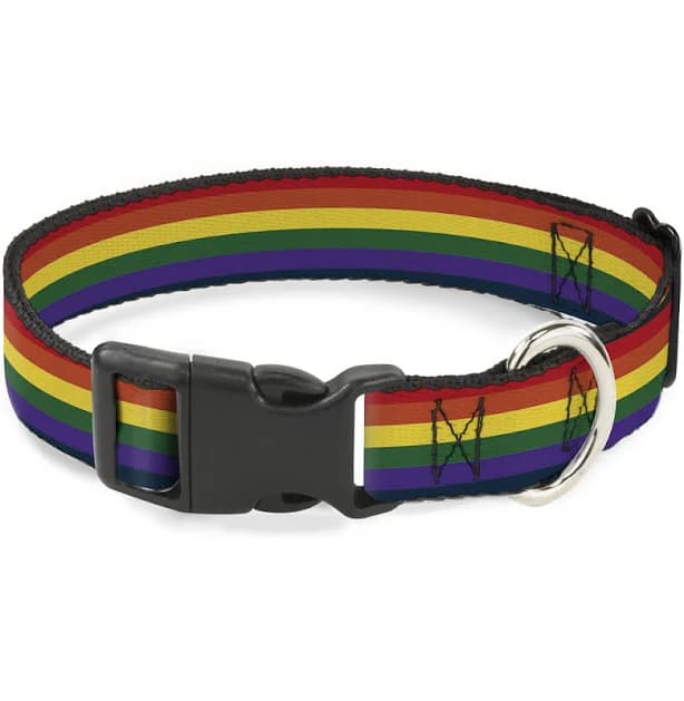 Buckle-Down Plastic Clip Collar
