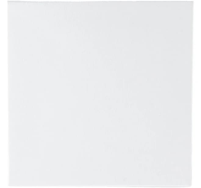 Art Alternatives Canvas Classic Studio