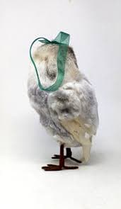 Large Fluffy Snowy White Feather Plush Owl Holiday Ornament Hanging Standing 10" | eBay