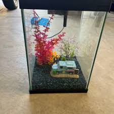 Fish Aquarium for Sale in Ventura, CA - OfferUp