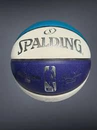Spalding NBA Authentic 2019 CHA Charlotte Hornets All Star Game Money Ball Rare