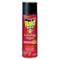 RAID Max Crawling Insect Bug Killer Spray Application