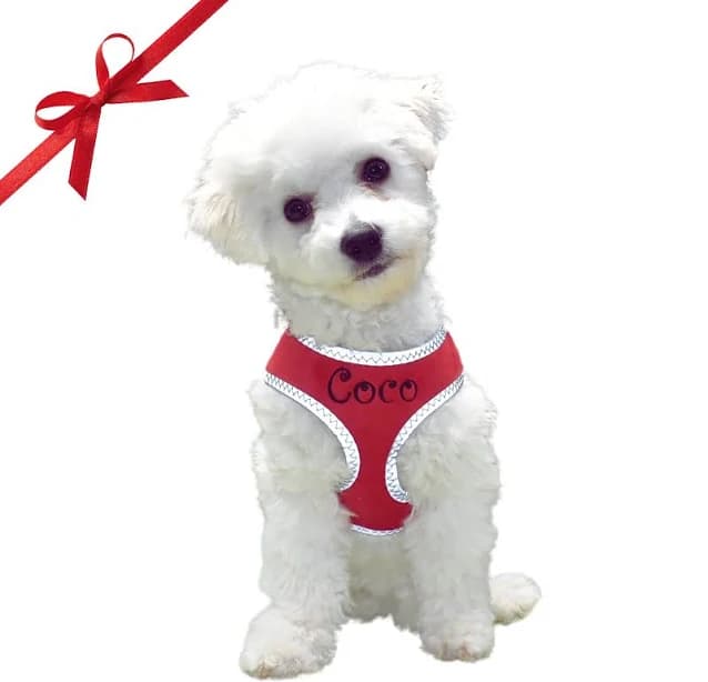 Personalized Red Dog Harness and Leash Set, Dog Harness Set, No Pull Dog Harness Leash, Padded Dog Harness, Personalized Pet Lover Gift
