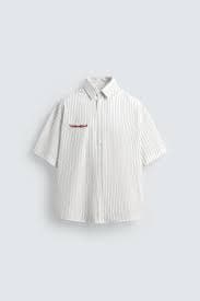 EMBROIDERED STRIPED SHIRT - striped | ZARA United States