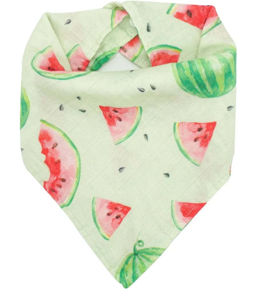 Immispace Premium Baby Watermelon Bandana Bib