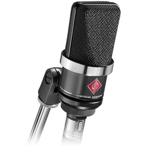 Neumann TLM 102 Condenser Microphone