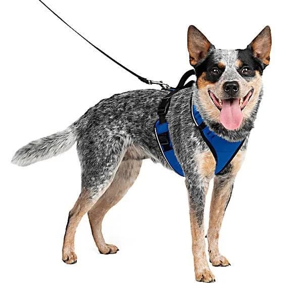 PetSafe EasySport Harness