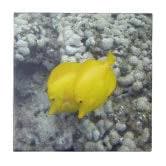 Yellow Tangs Tile | Zazzle