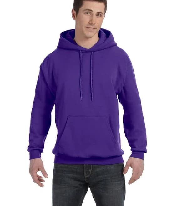 Hanes EcoSmart Hooded Sweatshirt Men's