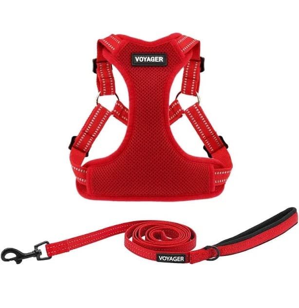 Step-In Flex Harness & Leash Set With Neoprene Handle & Air Mesh For Your Pet