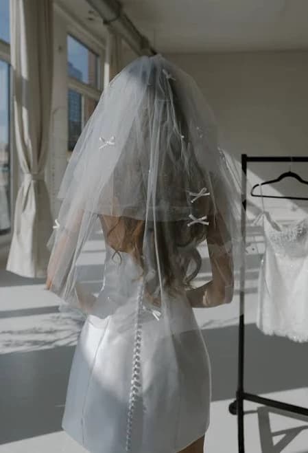 Last Toast Mini Veil