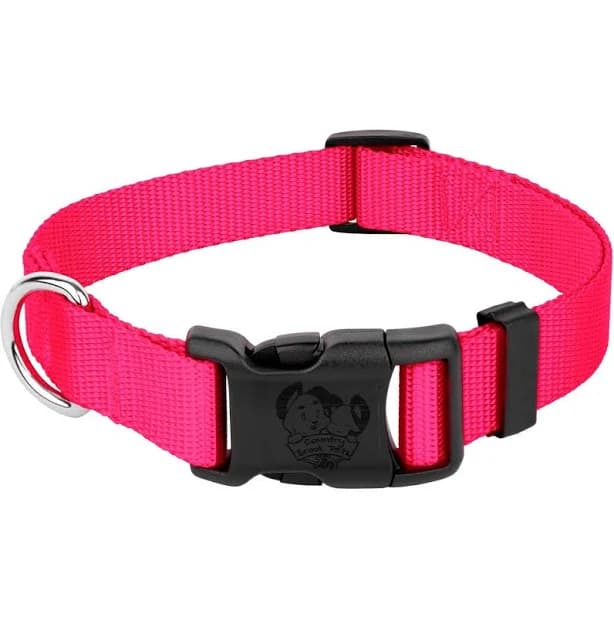 Country Brook Petz Everyday Nylon Dog Collar