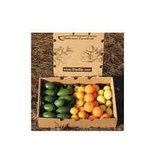 Avocado, orange, mandarin & lemon pack