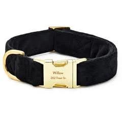 The Foggy Dog Velvet Dog Collar