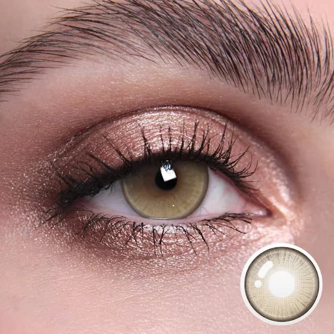 1-Day Lenses