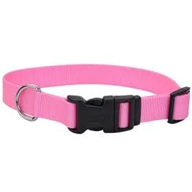Coastal Pet Products Buckle Adjustable Dog Collar