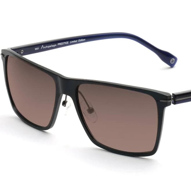 Oversized Polarized Sunglasses