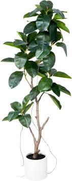 Amazon.com: Jucgghk Vivid and Realistic Floral Art 5.7FT Artificial Ficus Tree,Realistic Green Artificial Trees for Home Decor Wedding, Banquet, Funeral, Decorative Flowers(Pf-0469) : Home & Kitchen