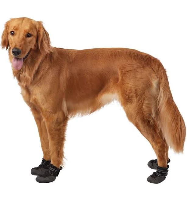 Top Paw Dog Booties